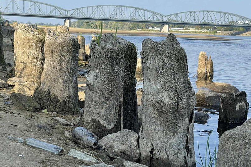 Most Króla Olbrachta?