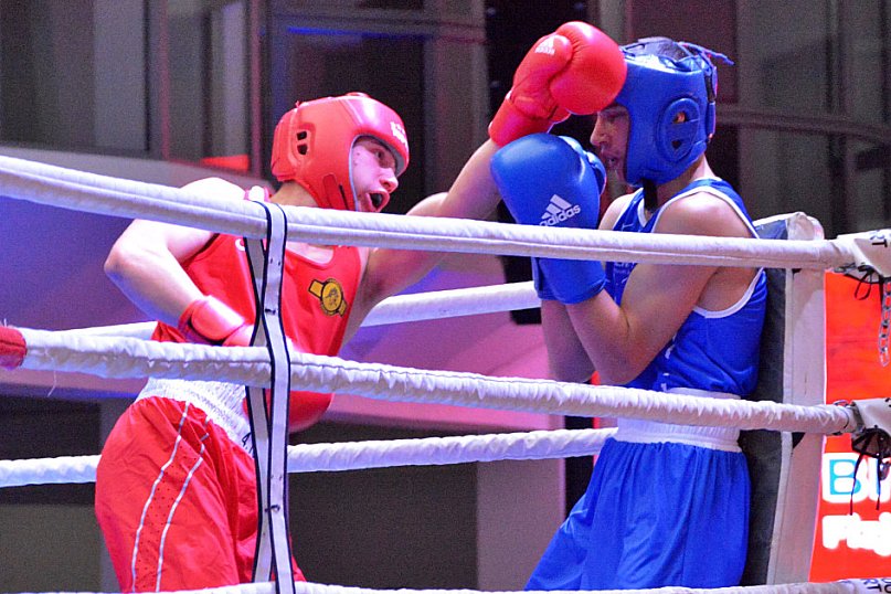 XXIX MTB Copernicus Boxing Cup im. Z. Krygiera