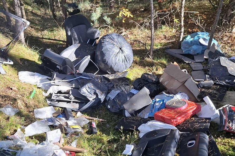 Dzikie wysypisko w lesie