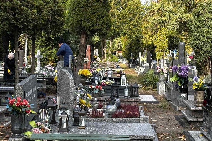 Cmentarz Centralny przed Dniem Wszystkich Świętych