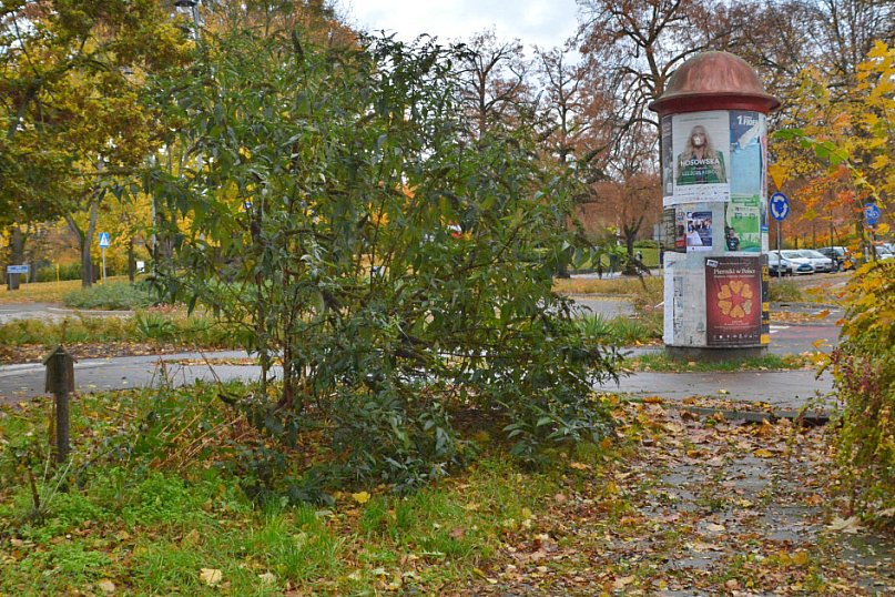 Tu stanie pomnik Zbigniewa Herberta