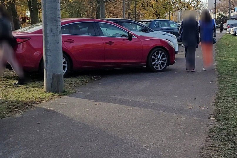 Mistrzowie Parkowania z Torunia