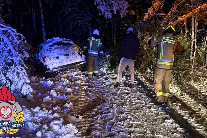 80 interwencji w Toruniu. Mokry śnieg siał spustoszenie