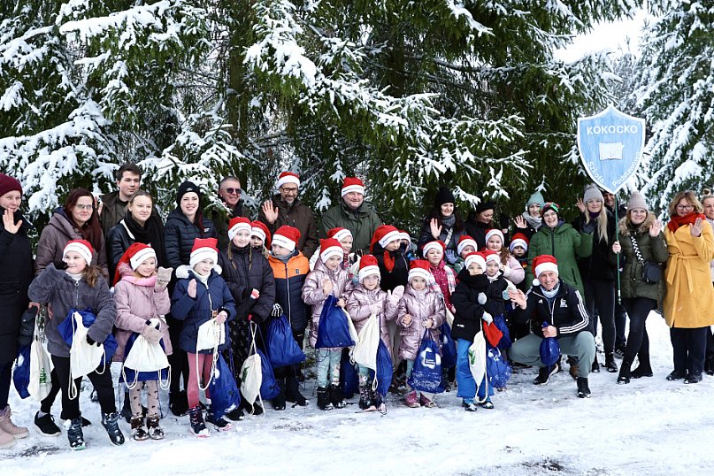 Taka choinka stanie przed urzędem marszałkowskim