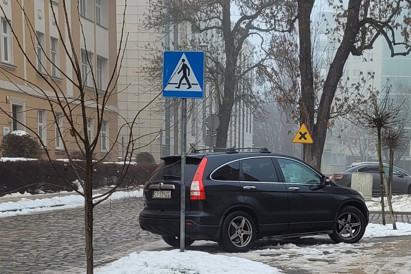 Grudniowi mistrzowie parkowania z Torunia