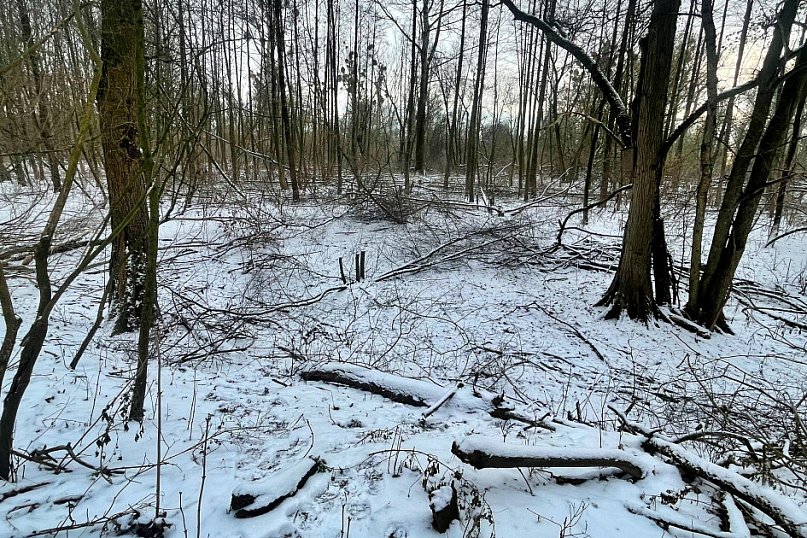Wstrząsające kadry z Majdanów