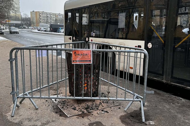 Koksowniki na ulicach Torunia