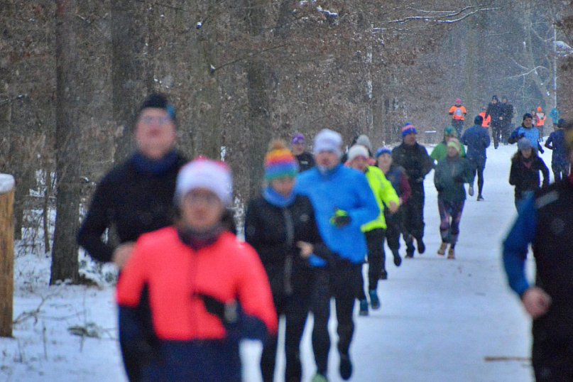 Zimowy parkrun w Toruniu