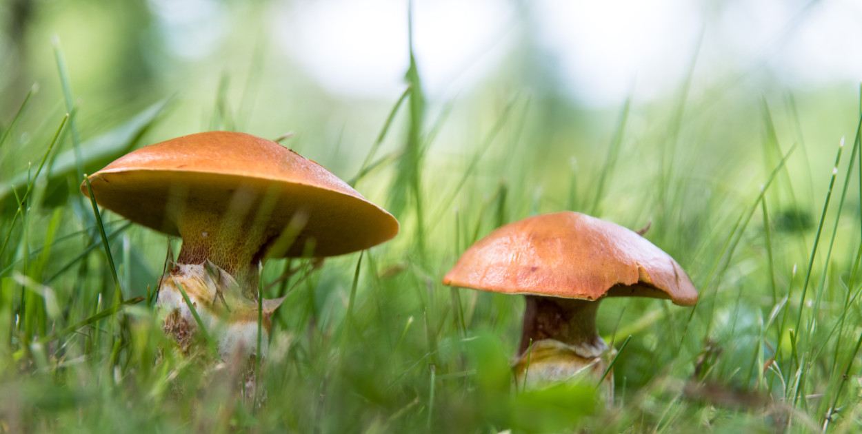 Zdjęcie ilustracyjne. Depositphotos