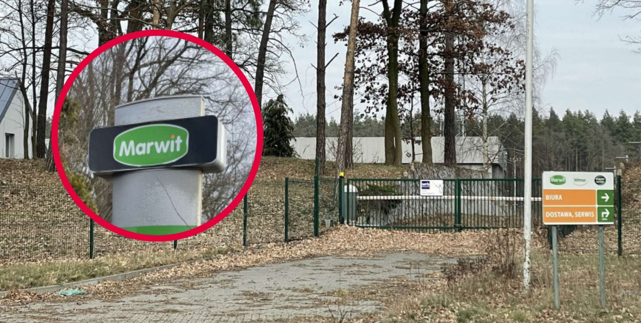 Fot. Daniel Wiśniewski