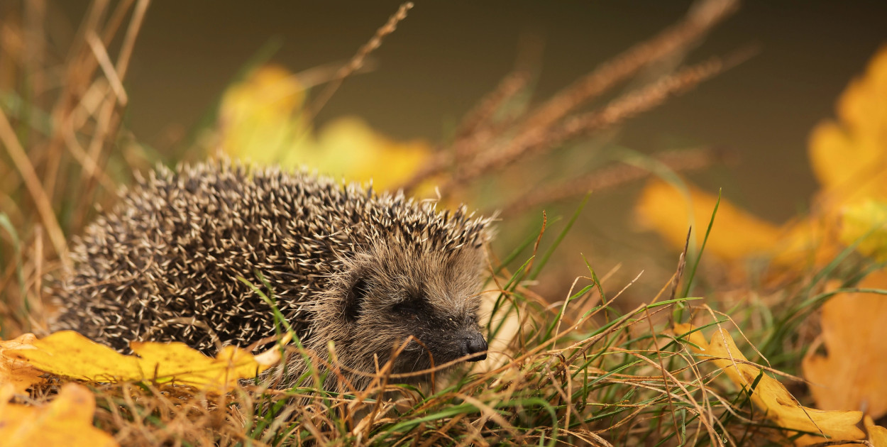 Zdjęcie ilustracyjne. Depositphotos