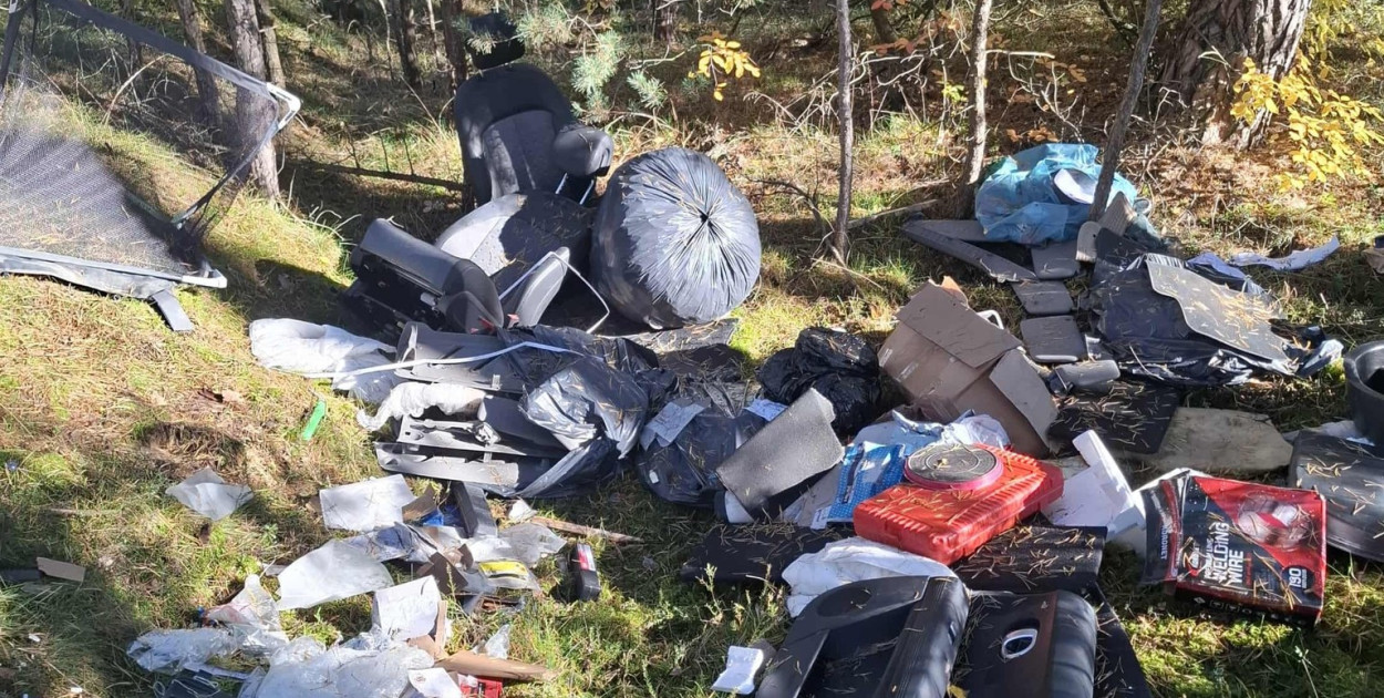 Fot. Nadleśnictwo Dobrzejewice, Lasy Państwowe