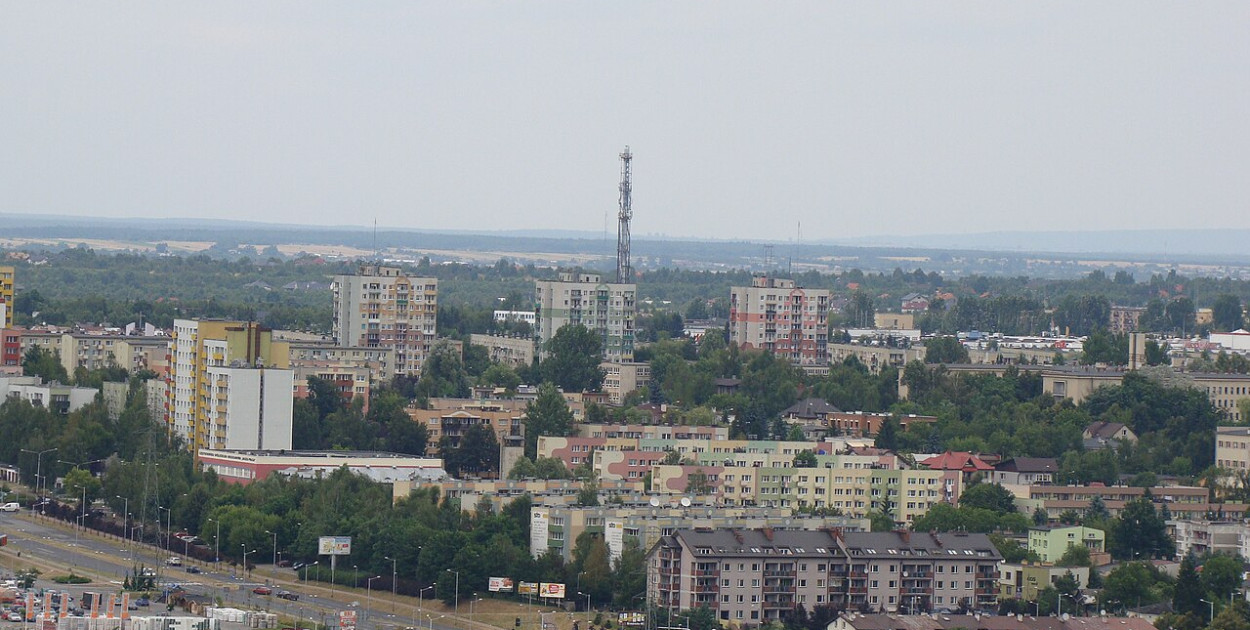 Fot. Darekm135, CC BY-SA 3.0, via Wikimedia Commons