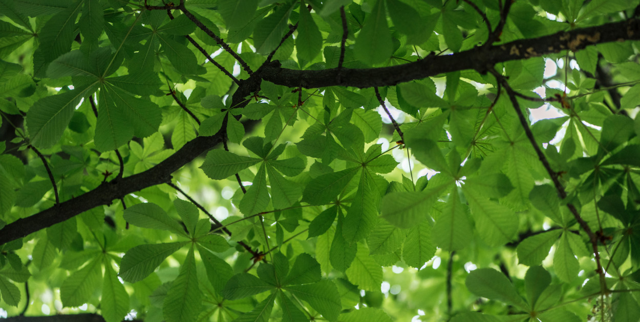 Zdjęcie ilustracyjne. Depositphotos