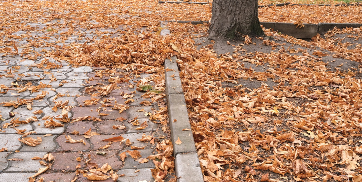 Zdjęcie ilustracyjne. Fot. Depositphotos.com