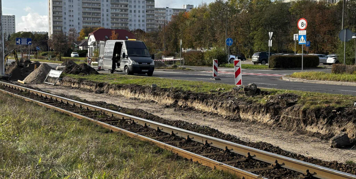 Fot: Weronika Polichnowska 