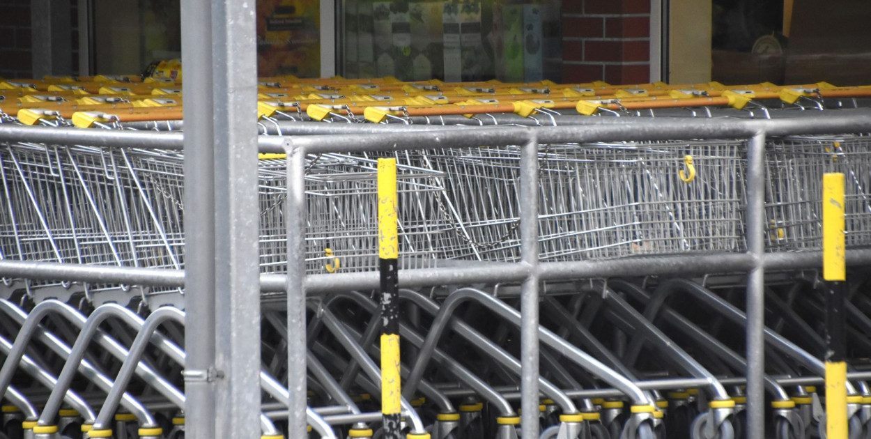 Fot. Michał Osiecki / siecportali.pl