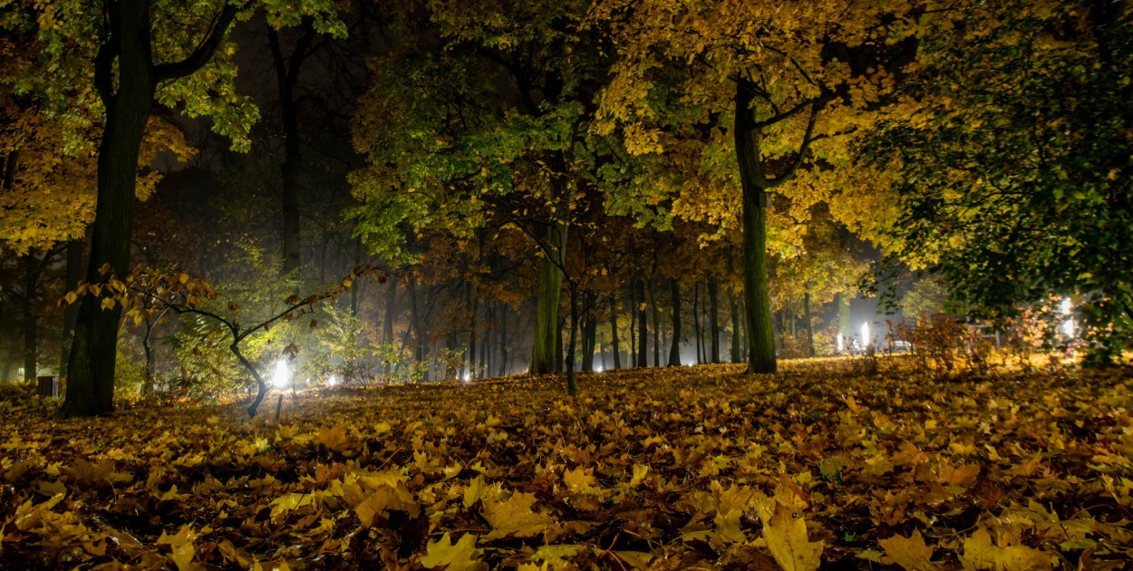 Fot. Krzysztof Jaworski Fotografia