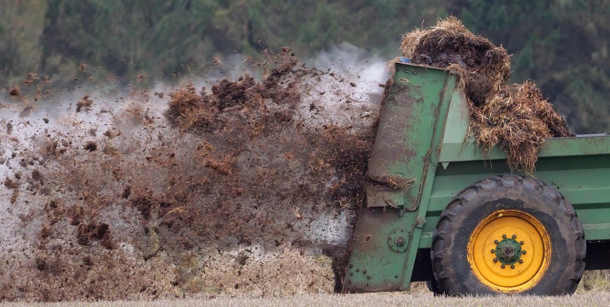 pixabay.com Licencja: https://pixabay.com/pl/service/license