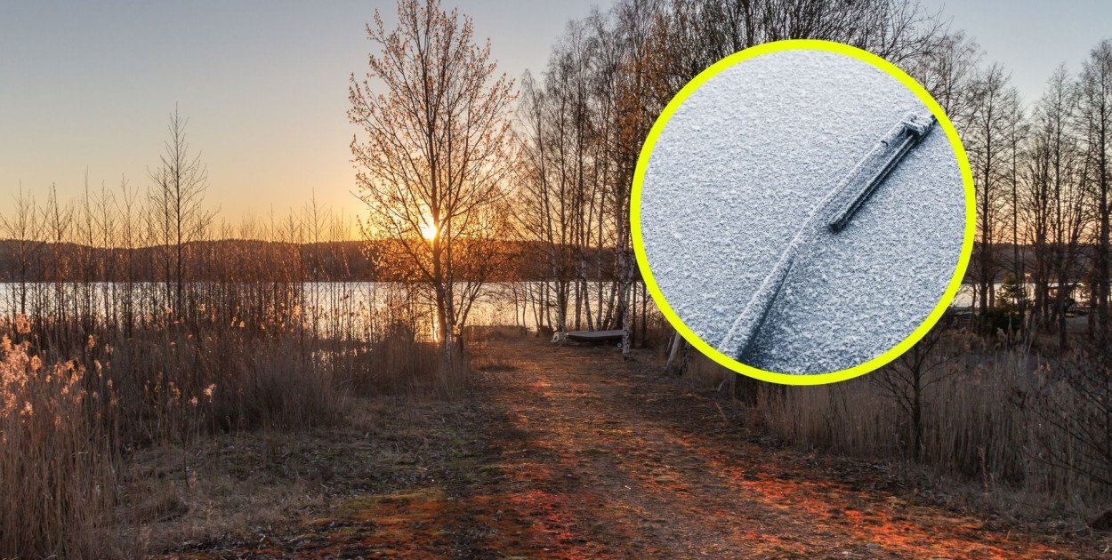 Zdjęcie ilustracyjne. Canva