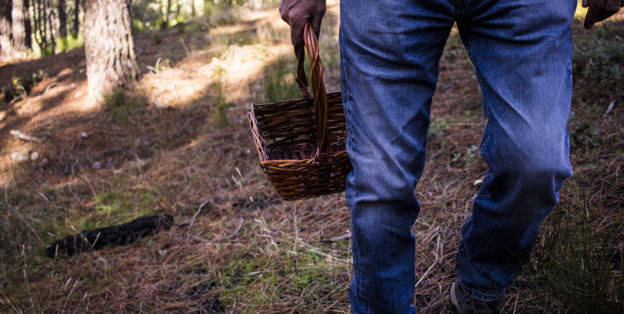 Zdjęcie ilustracyjne. Fot. Depositphotos.com