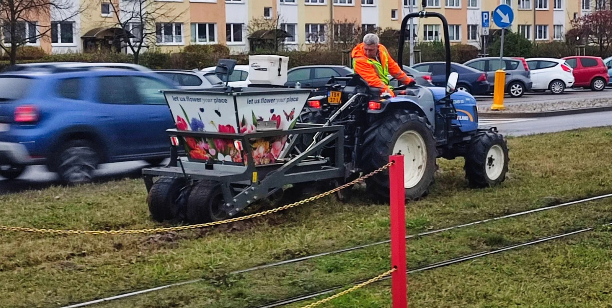 Fot: Wydział Środowiska i Ekologii UMT