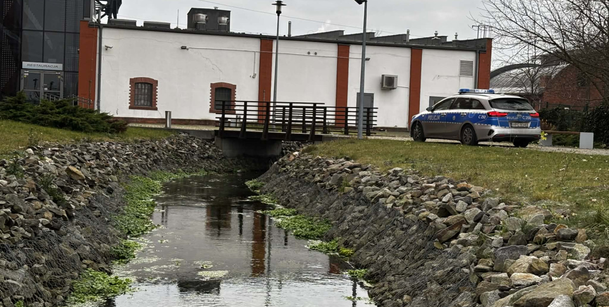 Fot: Weronika Polichnowska