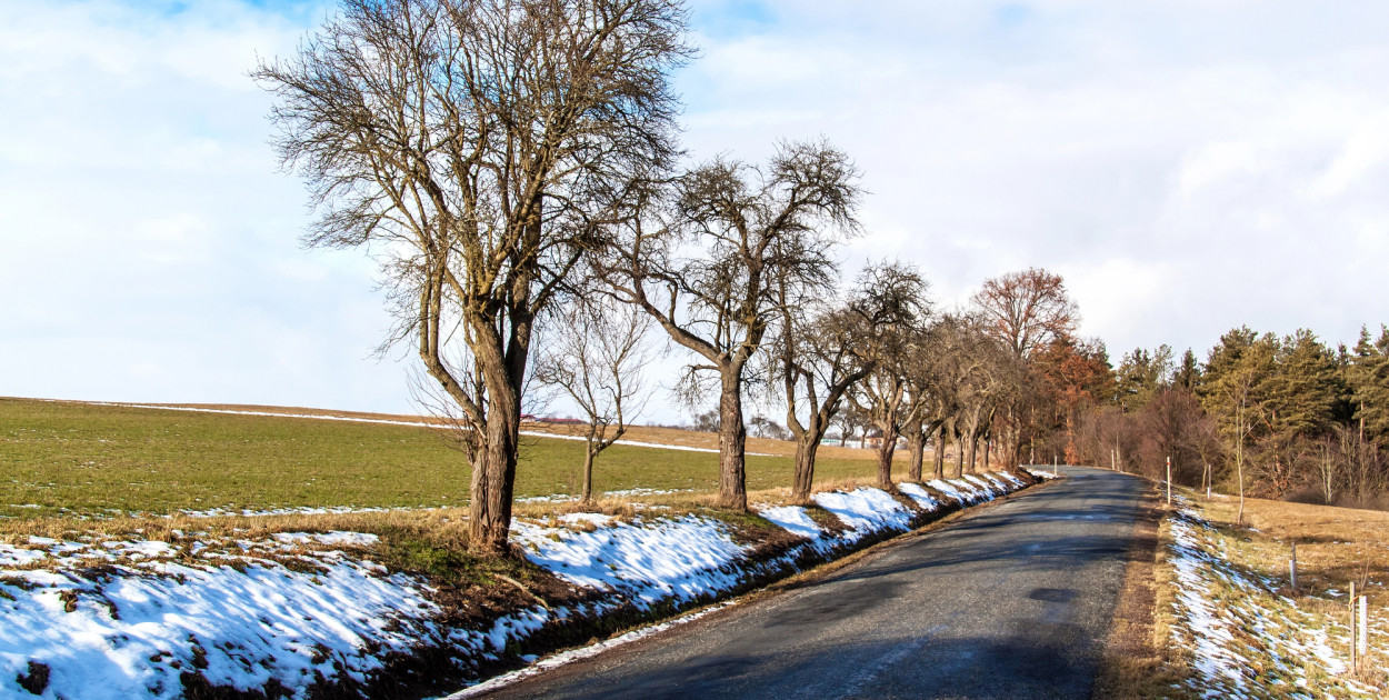 Zdjęcie ilustracyjne. Depositphotos