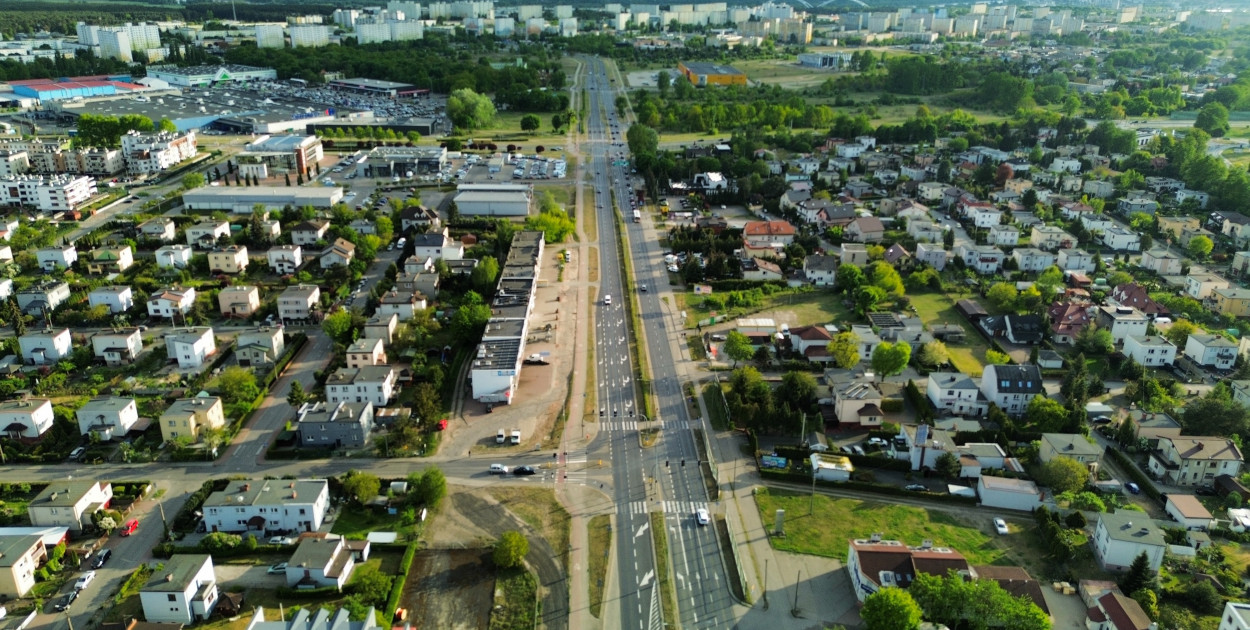 Fot: © UMT 2025, autor: EwCe, licencja: CC BY-NC 4.0 