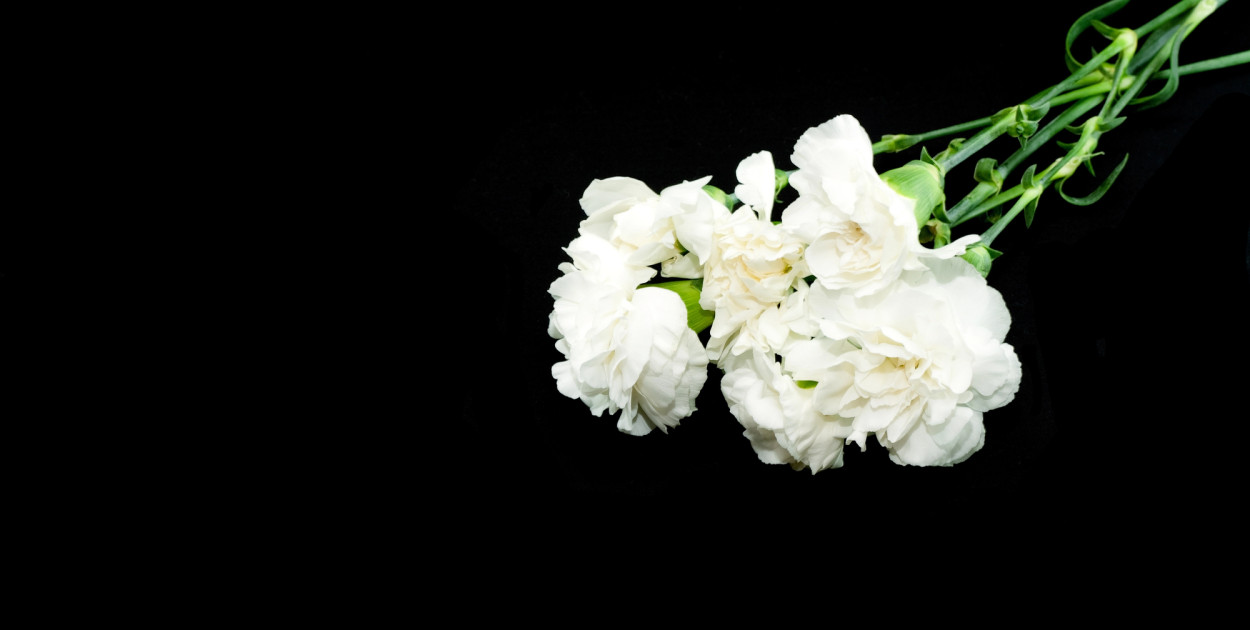 Zdjęcie ilustracyjne. Depositphotos