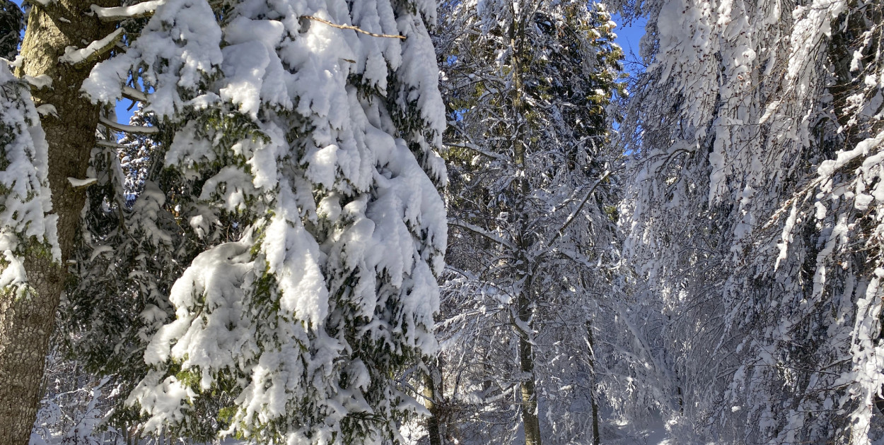 Zdjęcie ilustracyjne. Depositphotos