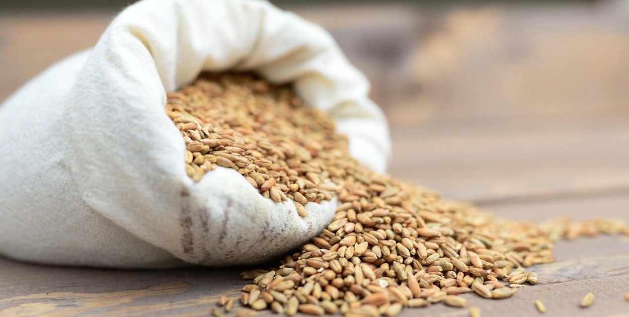 pixabay.com Licencja: https://pixabay.com/pl/service/license | nnasiona hybrydowe