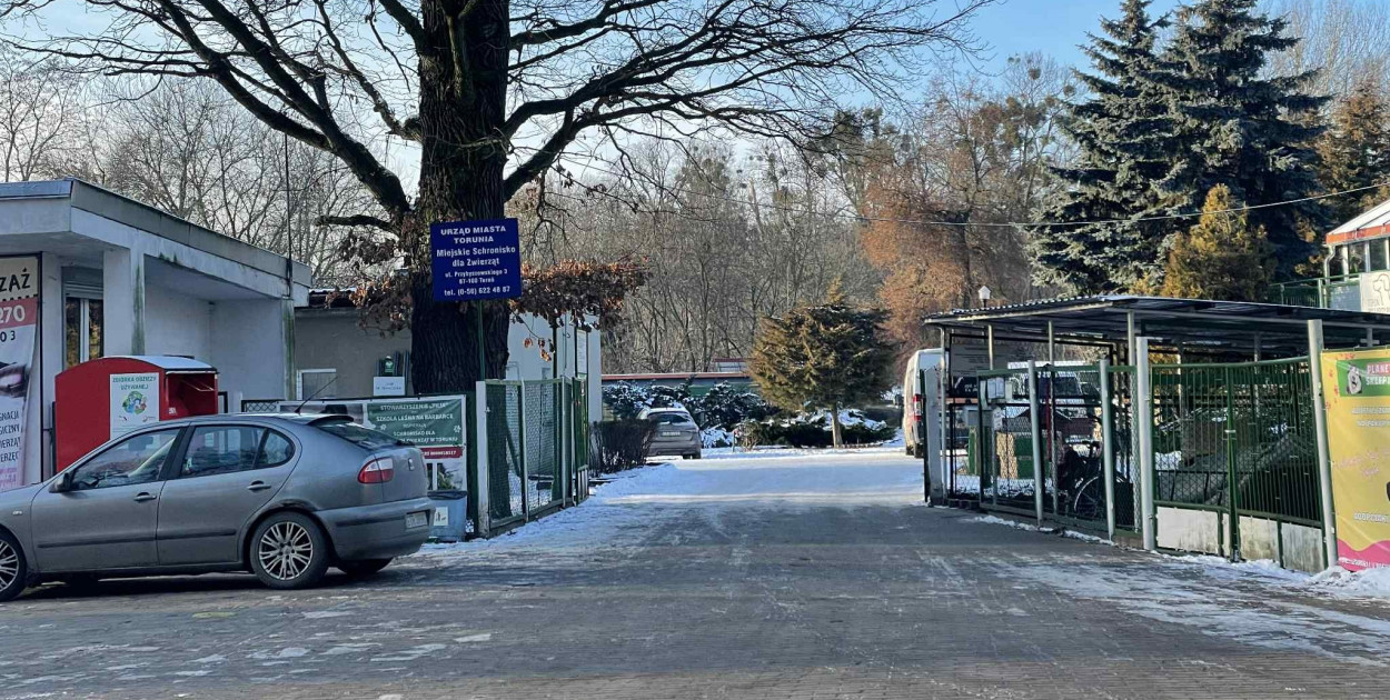 Fot. Daniel Wiśniewski