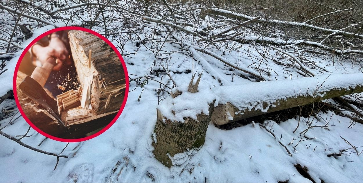 Zdjęcie ilustracyjne. Fot. Daniel Wiśniewski