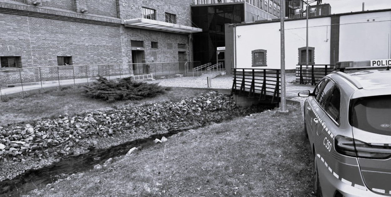 Fot: Weronika Polichnowska 