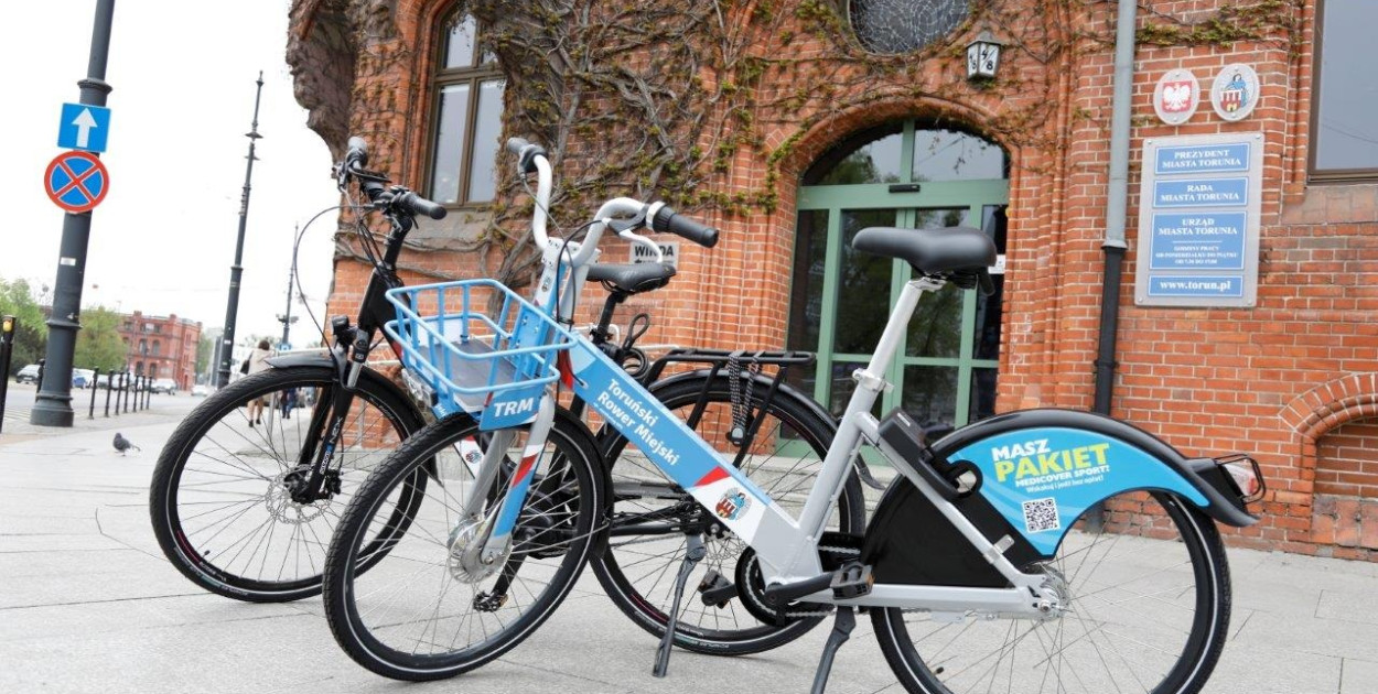 Fot. © UMT 2025, autor: Magdalena Winiarska, licencja: CC BY-NC 4.0