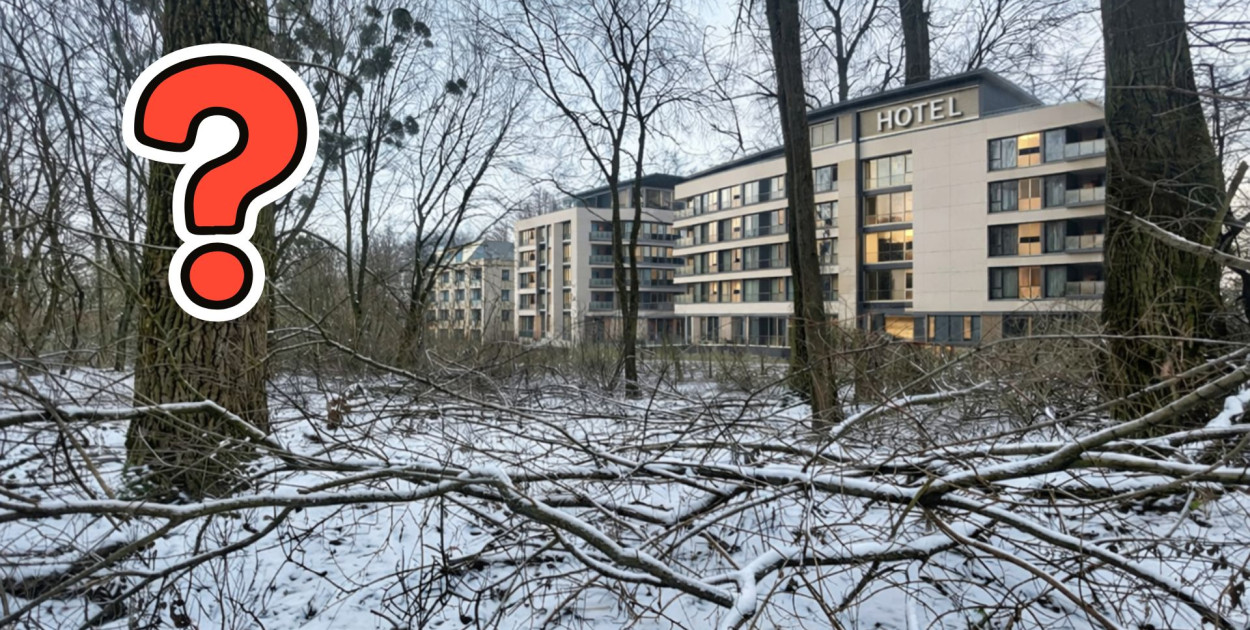 Fot. Zdjęcie wygenerowane przez Chat GPT