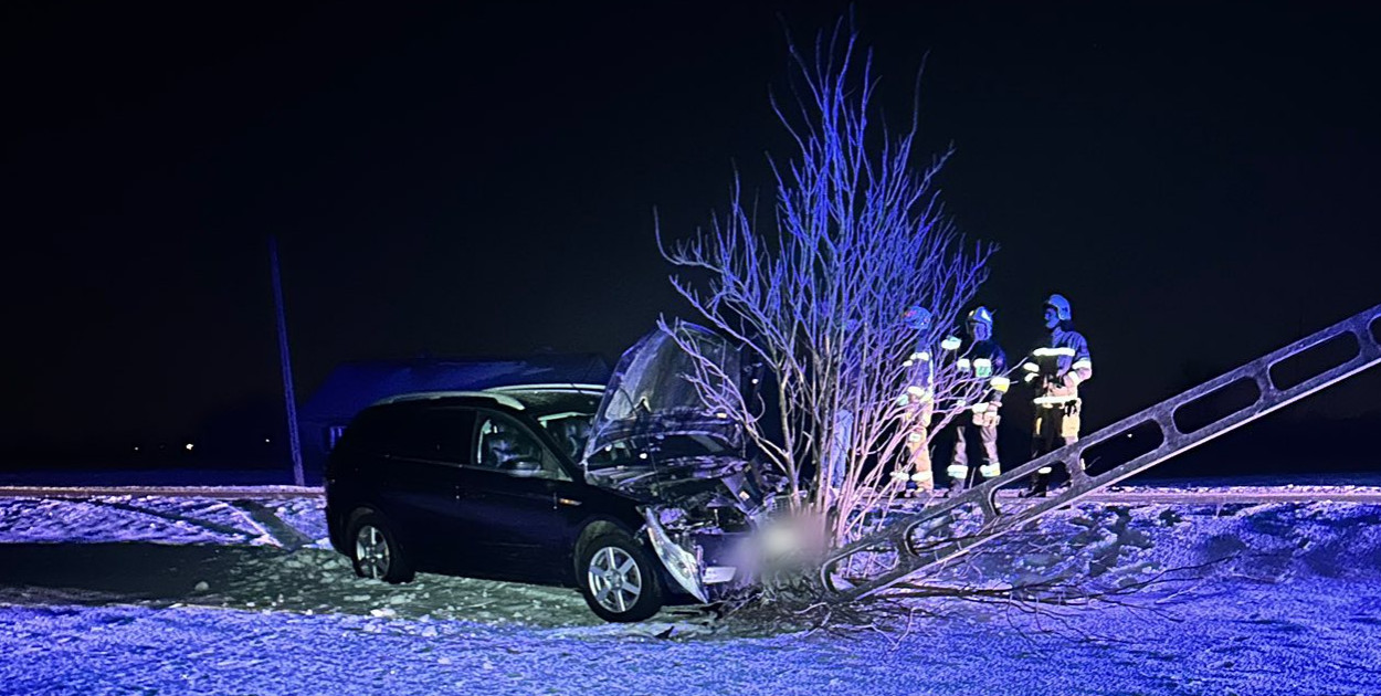 Chciał ominąć sarny. Auto wypadło z drogi i uderzyło w słup [FOTO]