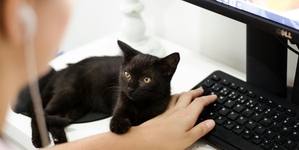 Co Twój sprzęt do gier mówi o Tobie