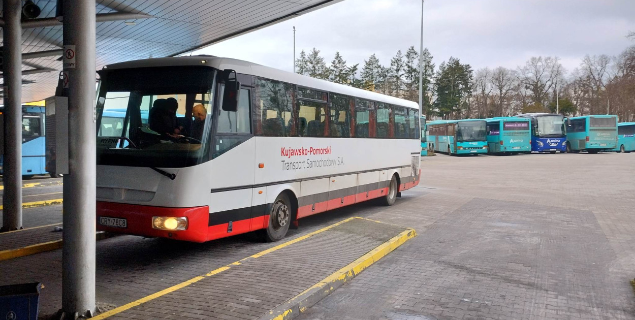 Miliony na autobusy w regionie. Metropolia Toruńska z nowymi liniami