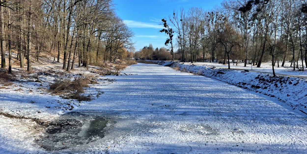 Lodowaty początek tygodnia. Za kilka dni pogoda zrobi nam niespodziankę