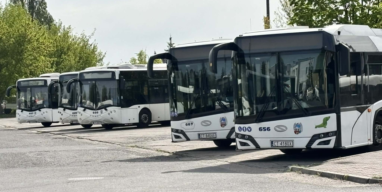 Autobusy po 22:30? Od marca nowe połączenia w Toruniu
