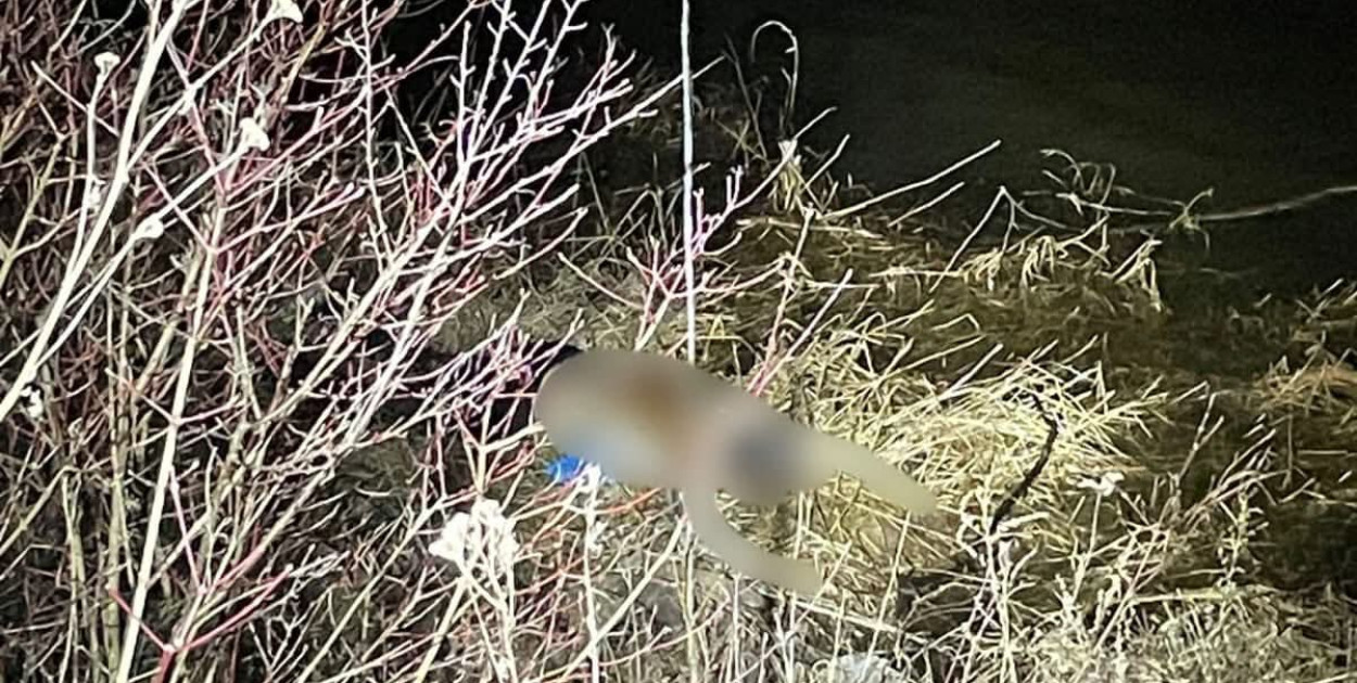 Makabryczne odkrycie w Wiśle. Znaleziono zwłoki mężczyzny