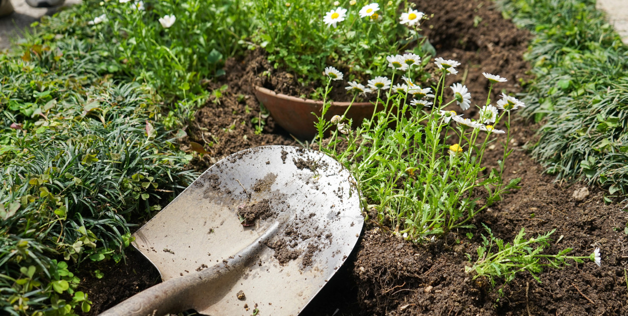 Miasto szykuje się na wiosnę. Trwają intensywne prace w parkach i na bulwarach