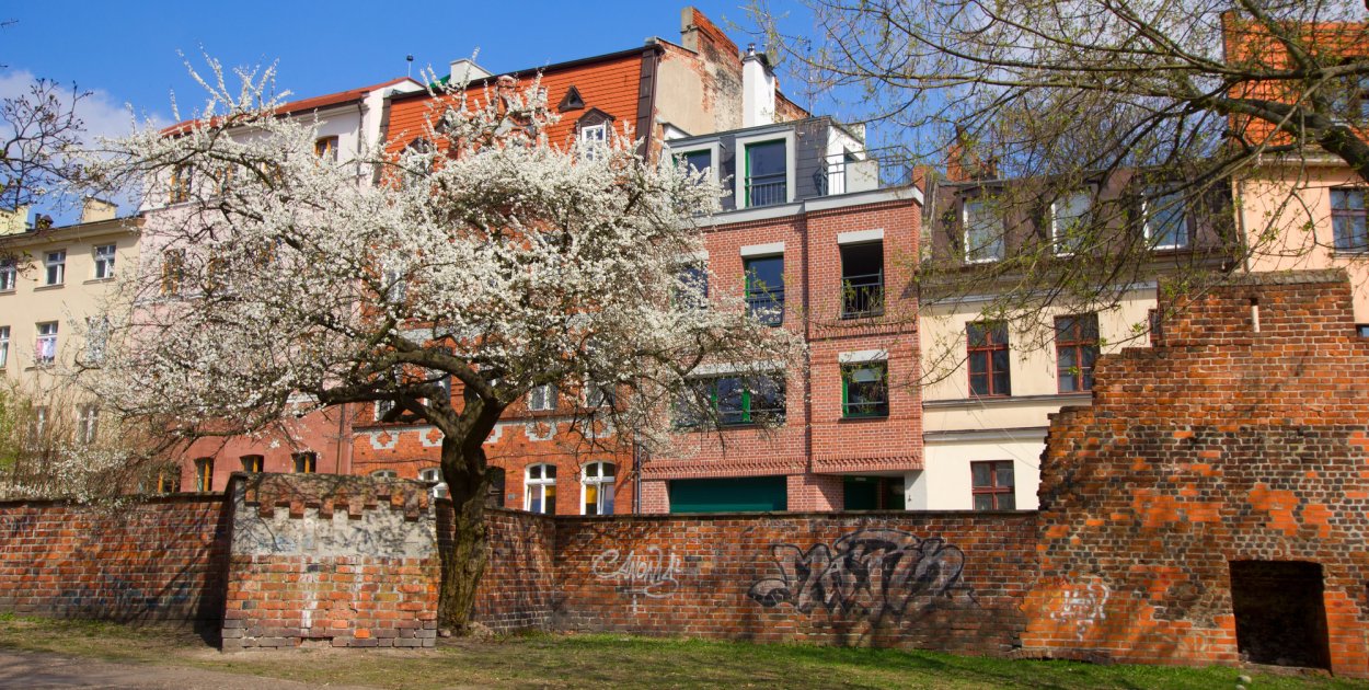 Piękna Niedziela Wielkanocna, ale co dalej? Mamy pewne prognozy