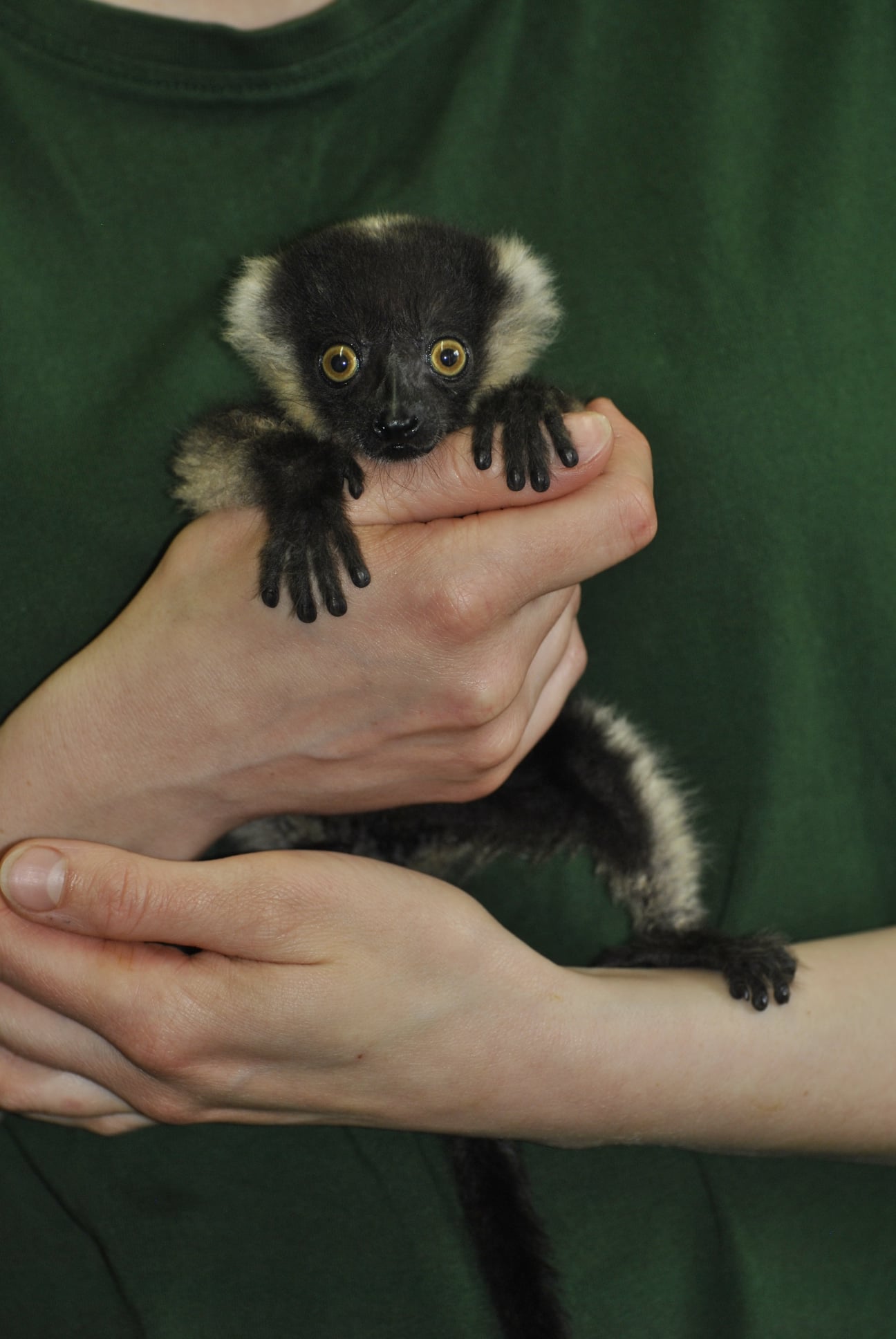 Fot. Ogród Zoobotaniczny w Toruniu