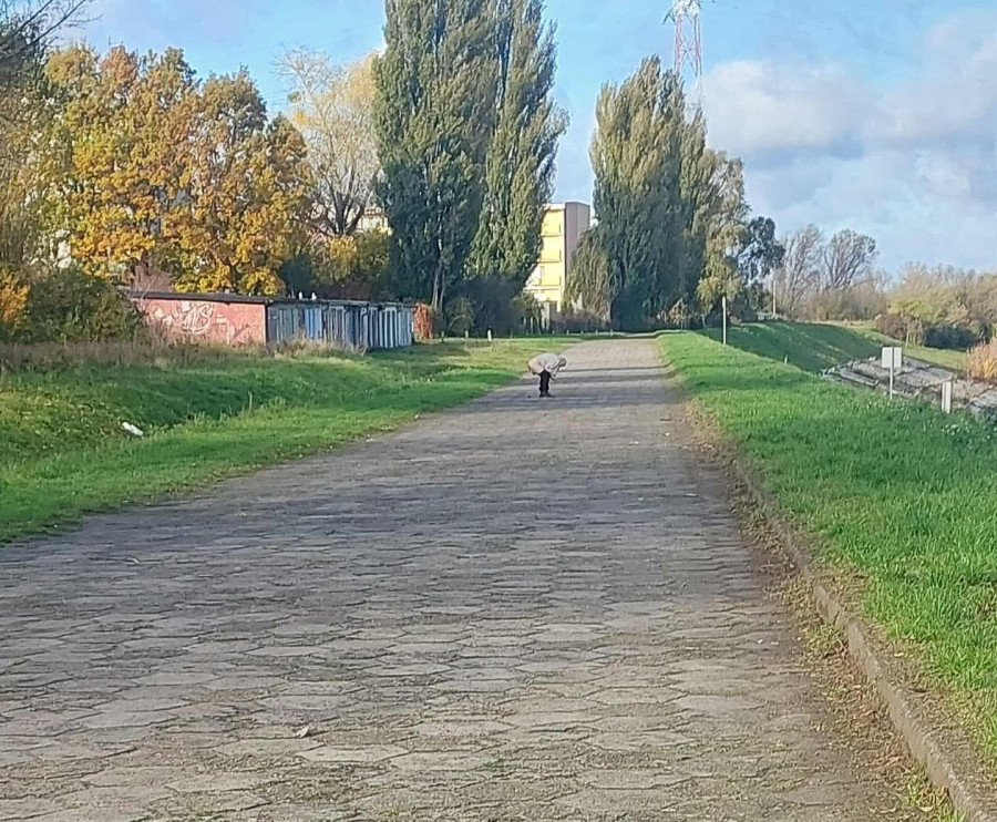 Fot. Spotted Włocławek/Facebook